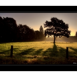 Herbst Impressionen